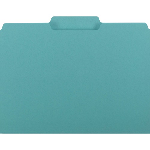 Interior File Folders, 1/3 Cut Top Tab, Letter, Aqua, 100/box