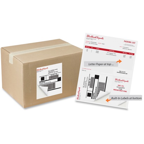 Label Forms, 2-Up w/ Perf, 6"x4"/2"x4", MI