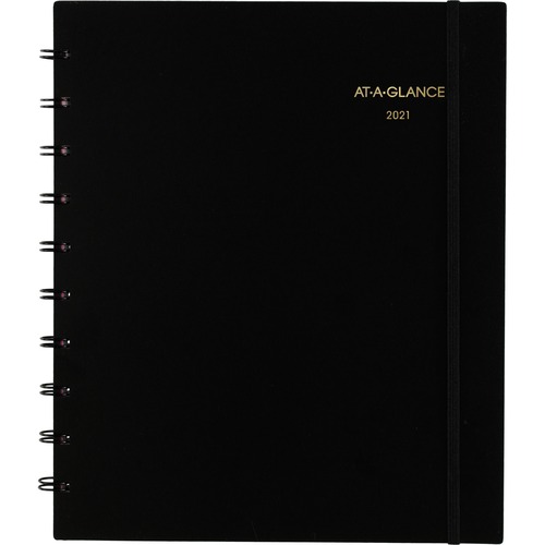 MOVE-A-PAGE WEEKLY/MONTHLY APPOINTMENT BOOK, 8 3/4 X 11, WHITE, 2019