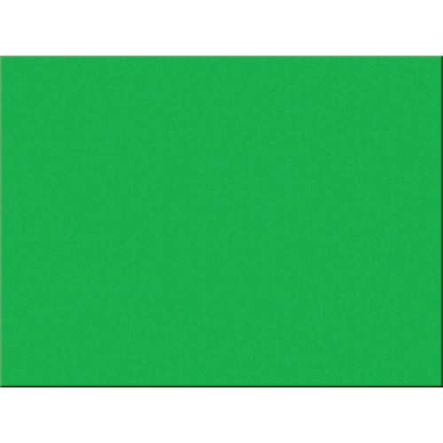Construction Paper, 76lb., 18"x24", 50/PK, Festive Green