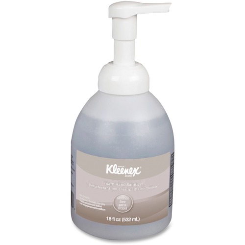 Alcohol-Free Foam Hand Sanitizer, 18 Oz Pump Bottle, 4/carton